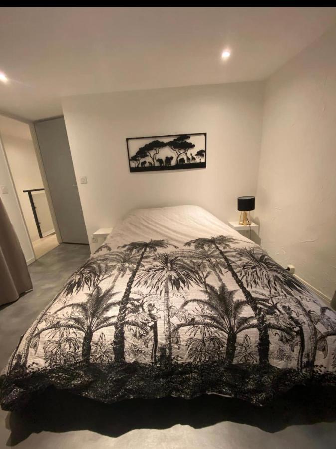 Le Boldieu- Duplex Beziers -Allee Paul Riquet- Wifi- Tv Connecte Exteriör bild